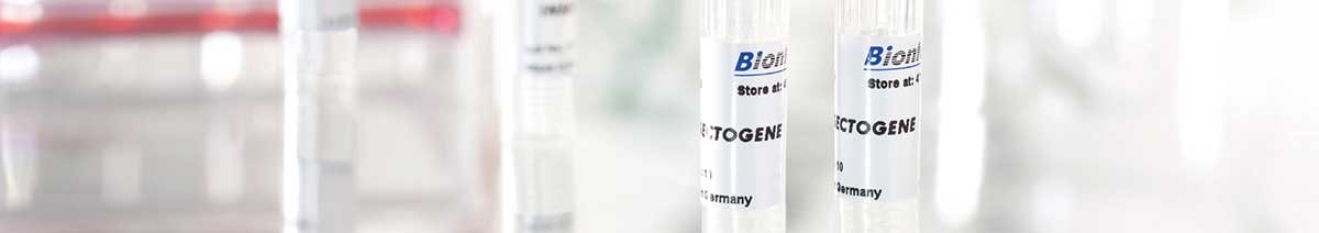 Transfection reagent INSECTOGENE for insect cells from Biontex 