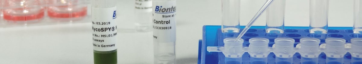 PCR Kit for detection of mycoplasmas MycoSPY Master Mix from Biontex 