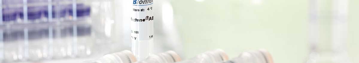 Proteofection reagent for antibodies PROTEOfectene® AB from Biontex