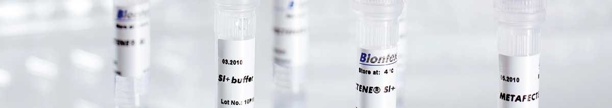 Transfection reagent METAFECTENE® SI⁺ from Biontex for siRNA & miRNA