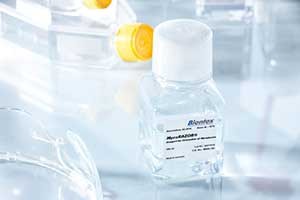 Mycoplasma elimination reagent MycoRAZOR® from Biontex