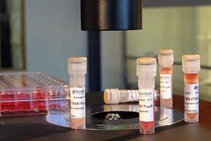 Rhodamine labeled trasnfection reagent METAFECTENE® FluoR from Biontex