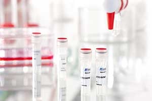 Transfection reagent INSECTOGENE for insect cells from Biontex 