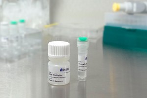 K2® Transfection System from Biontex