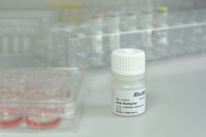 K2® Transfection System from Biontex