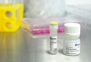 K2® Transfection System from Biontex