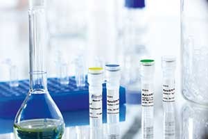 PCR Kit for detection of mycoplasmas MycoSPY from Biontex 