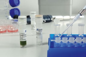 PCR Kit for detection of mycoplasmas MycoSPY Master Mix from Biontex 