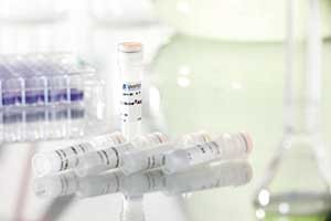 Proteofection reagent for antibodies PROTEOfectene® AB from Biontex