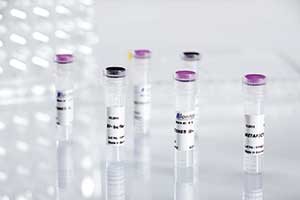 Transfection reagent METAFECTENE® SI⁺ from Biontex for siRNA & miRNA