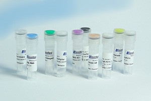 Test samples of transfection and proteofection reagents from Biontex for free