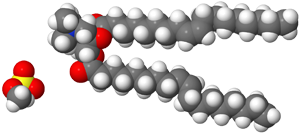 Kalottenmodell von DOTAP