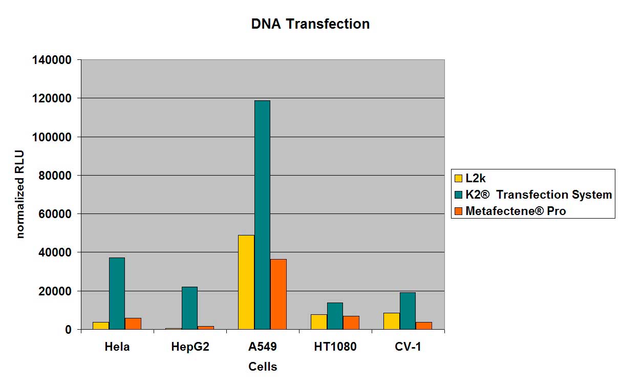 Vergleich der Transfektionseffizienzen von K2® Transfection System mit pCMV-Luc gegenüber L2k und METAFECTENE® PRO unter jeweils optimierten Bedingungen