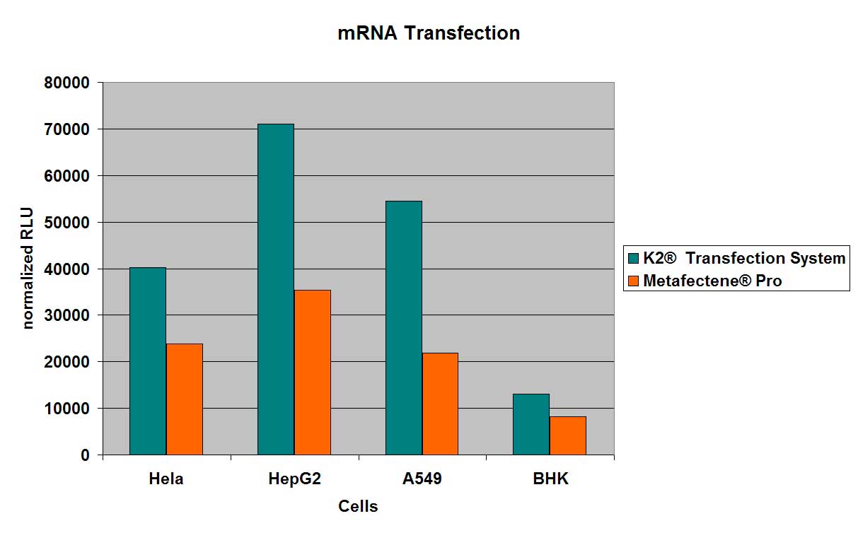 Vergleich der Transfektionseffizienzen von K2® Transfection System mit Luciferase codierender mRNA gegenüber METAFECTENE® PRO unter jeweils optimierten Bedingungen
