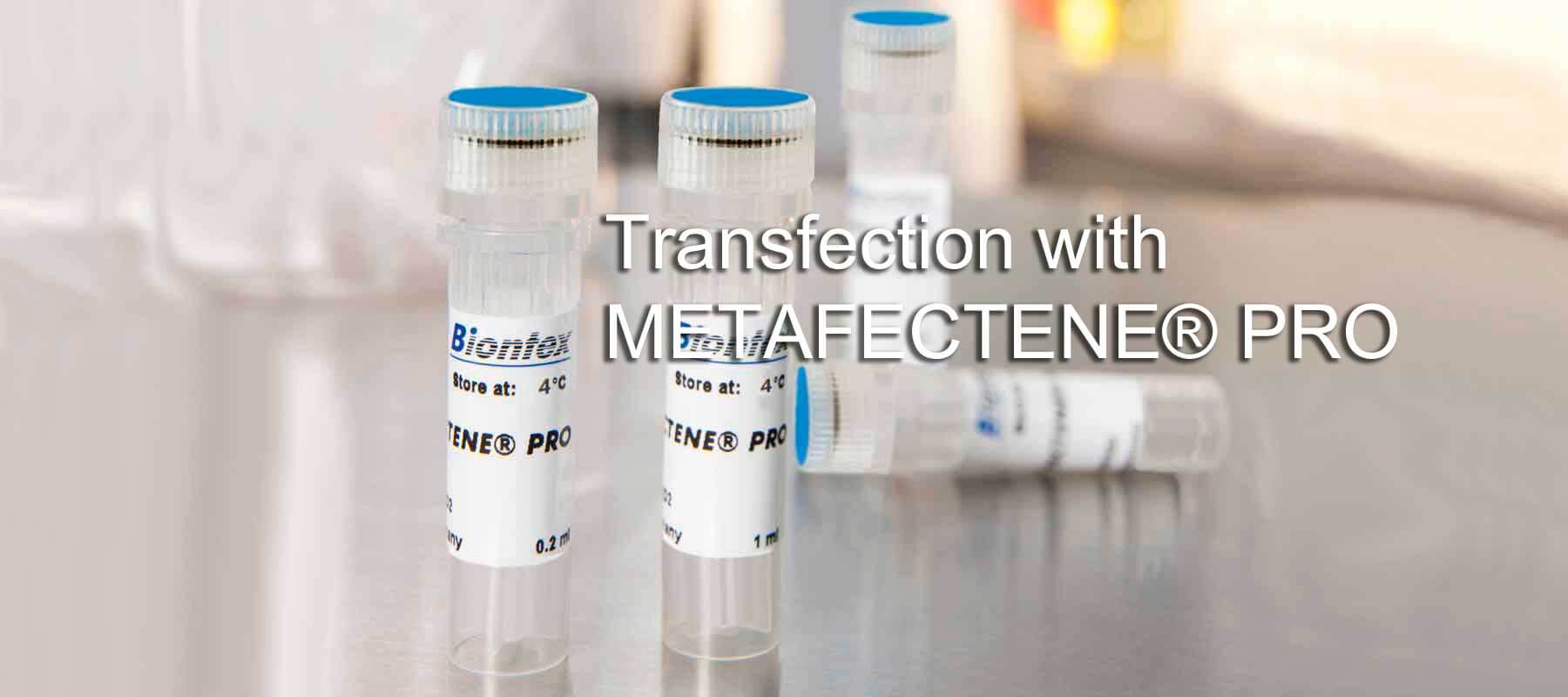 METAFECTENE PRO