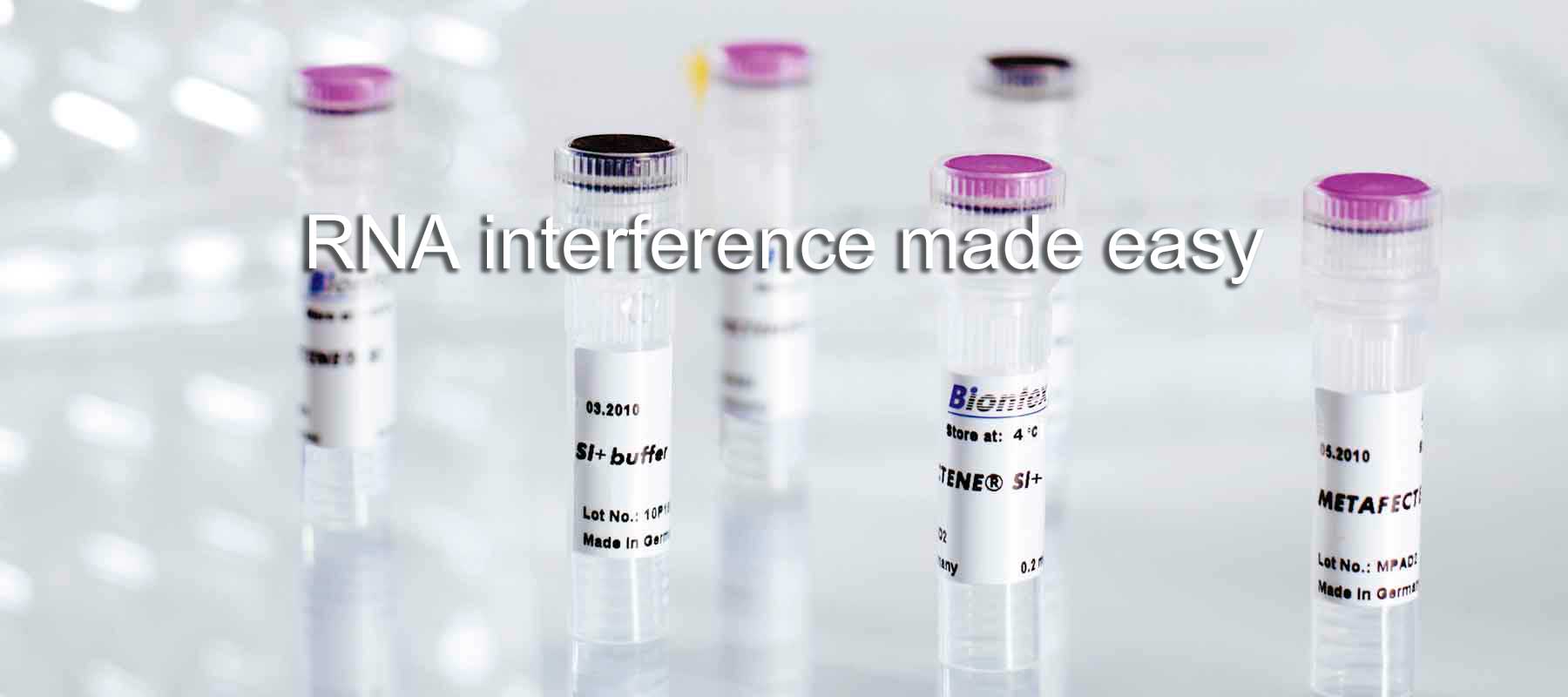 METAFECTENE SI