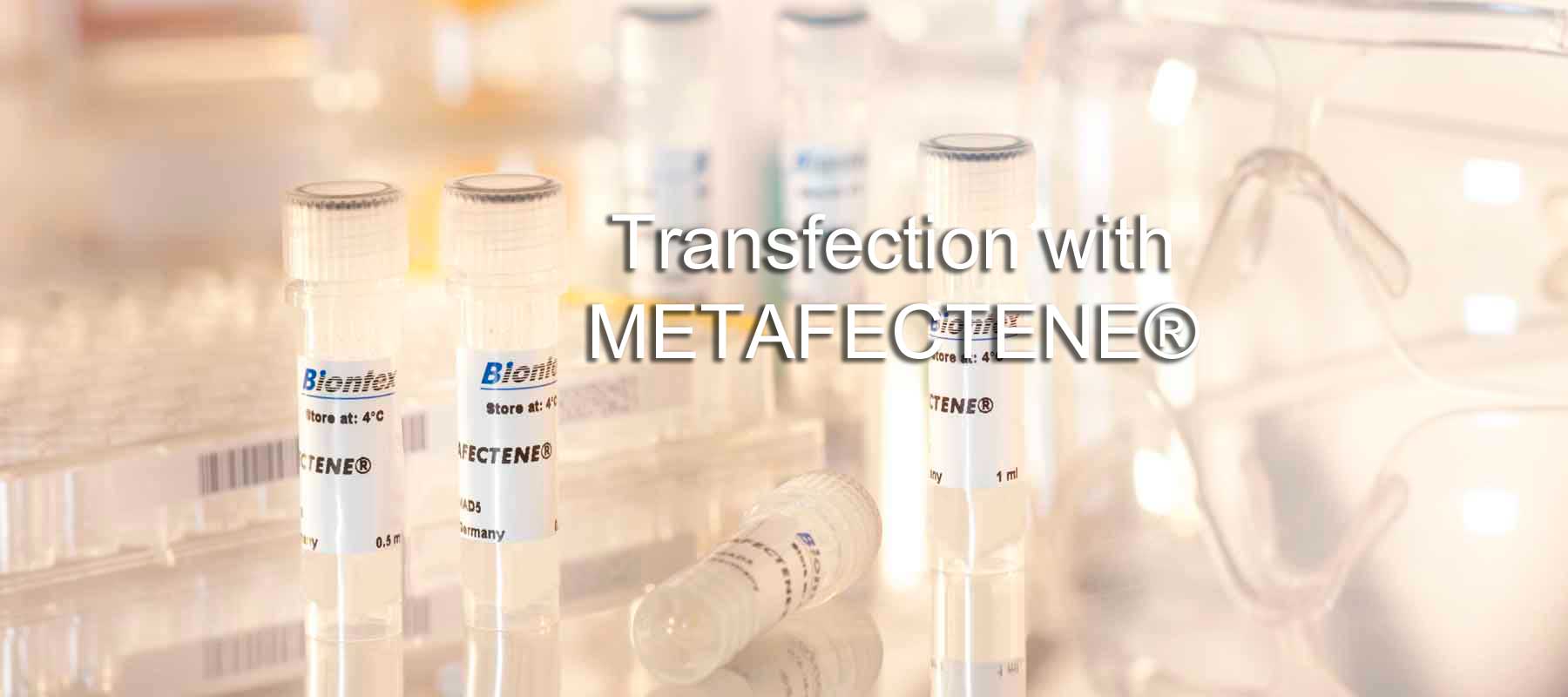 METAFECTENE