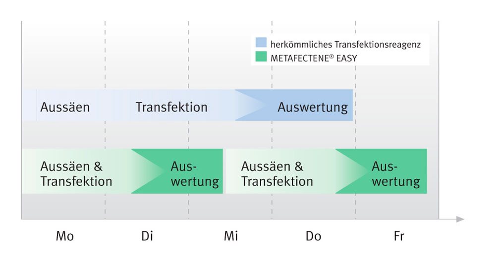 Zeitachse für das Fast-Forward Protokoll von METAFECTENE EASY