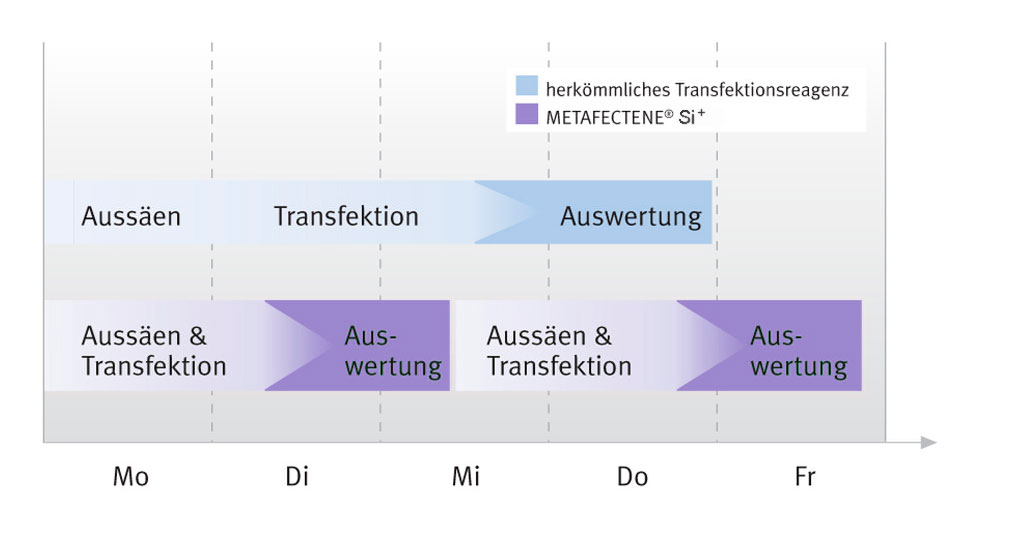 Zeitachse für das Fast-Forward Protokoll von METAFECTENE® SI⁺