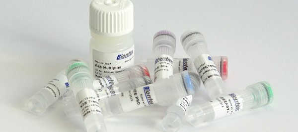 Auswahlhilfe für ein Transfektionsreagenz von Biontex